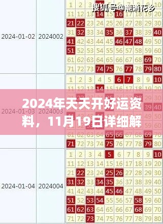 2024年天天开好运资料，11月19日详细解读落实_VLX1.15.45增强版