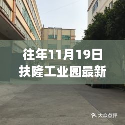 扶隆工业园十一月十九日最新进展，蜕变与成长的印记