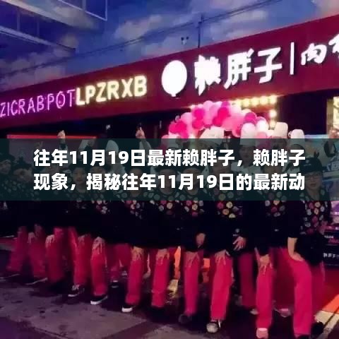 揭秘赖胖子现象，历年11月19日的最新动态与深度解读