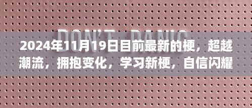 励志之旅，拥抱变化，学习新梗，自信闪耀超越潮流的旅程——2024年11月19日最新梗解析