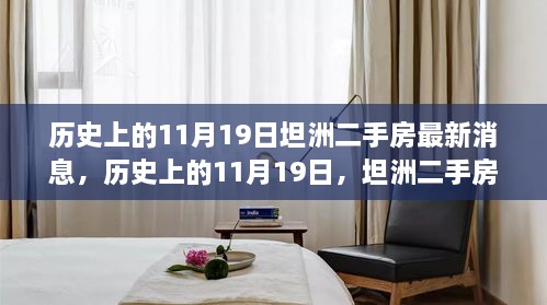 历史上的11月19日坦洲二手房最新消息，历史上的11月19日，坦洲二手房市场动态最新解析