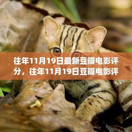 往年11月19日豆瓣电影评分大盘点，热门影片悉数收录，评分一网打尽！