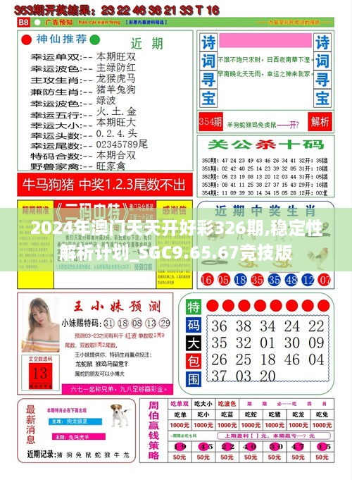 2024年澳门天天开好彩326期,稳定性解析计划_SGC9.65.67竞技版