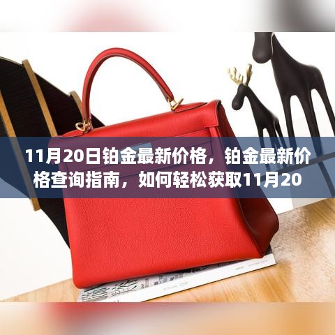 11月20日铂金最新价格查询指南，轻松获取铂金价格信息