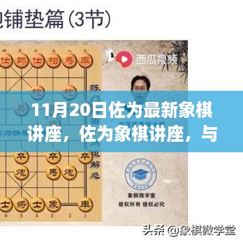 佐为象棋讲座，与自然共舞的心灵启程之旅（11月20日最新讲座）