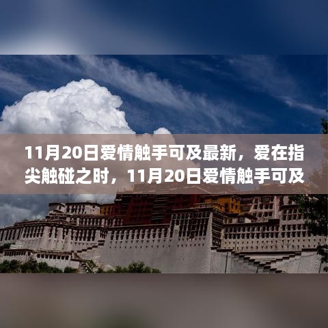 11月20日爱情触手可及，深度解析最新现象与指尖触碰之爱