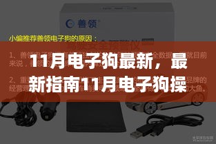 最新指南，11月电子狗操作全攻略——从入门到进阶的技能进阶之路