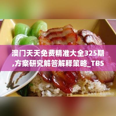 澳门天天免费精准大全325期,方案研究解答解释策略_TBS5.19.87贴心版