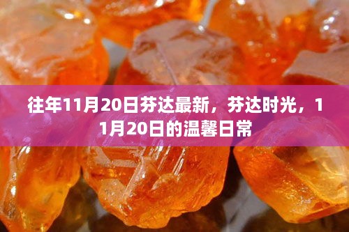 芬达时光，11月20日的温馨日常与最新动态