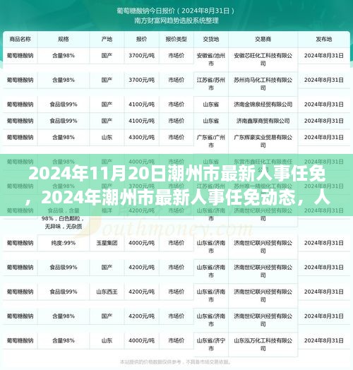 潮州市人事变革引领城市新篇章，最新任免动态（2024年）