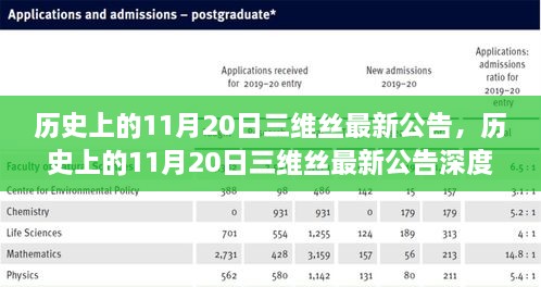 历史上的11月20日三维丝最新公告深度解析与介绍