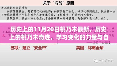 桃乃木的成长奇迹，历史变迁的力量与自信的诞生日