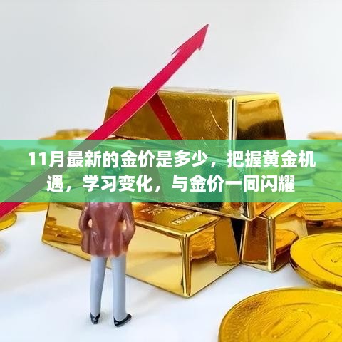 最新金价动态，把握黄金机遇，与时俱进闪耀财富