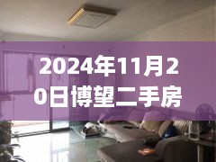 博望二手房最新出售，家的新篇章与旧时光的温馨故事（2024年11月20日）