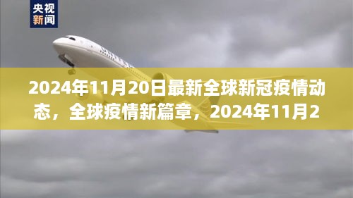 全球新冠疫情动态更新，温馨日常的友情纽带与全球疫情新篇章（2024年11月20日）