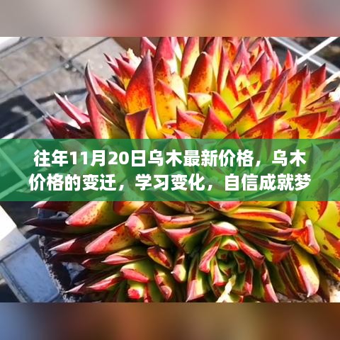 乌木价格变迁揭秘，学习变化，自信成就梦想