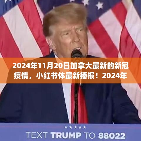 2024年11月20日加拿大新冠疫情实时更新，小红书最新播报