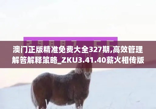 澳门正版精准免费大全327期,高效管理解答解释策略_ZKU3.41.40薪火相传版