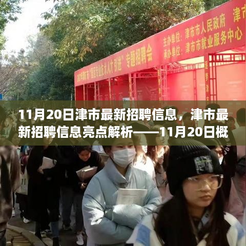 津市最新招聘信息亮点解析，11月20日概览