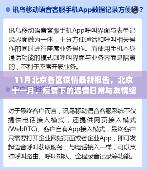 北京各区疫情最新报告，十一月温情日常与友情纽带下的抗疫之路