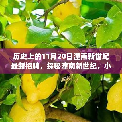 潼南新世纪招聘探秘，历史上的11月20日独特招聘之旅