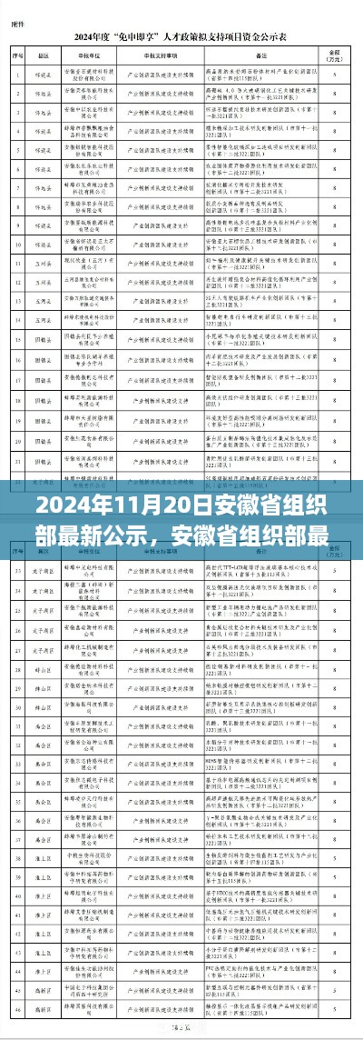 安徽省组织部最新公示深度解读与评测报告（2024年11月版）