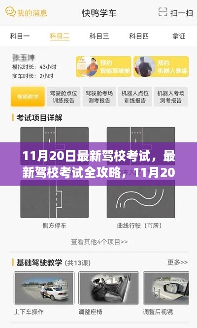 11月20日驾校考试全攻略，从初学者到进阶用户的必读指南