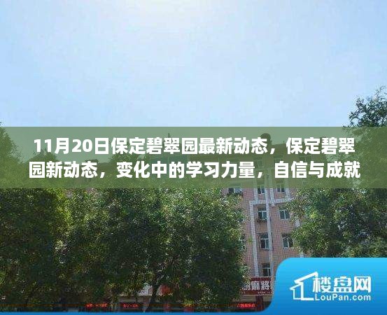 保定碧翠园新动态揭秘，学习力量的变化与成就感的绽放时刻