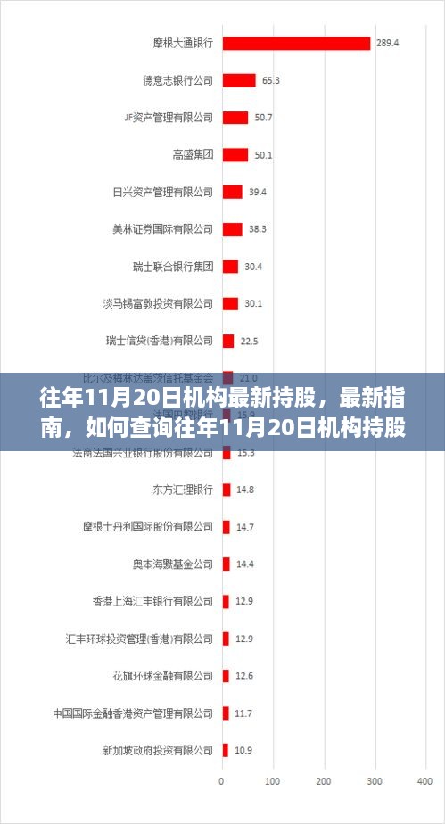 往年11月20日机构持股全解析，最新持股指南与查询技巧——适合初学者与进阶用户