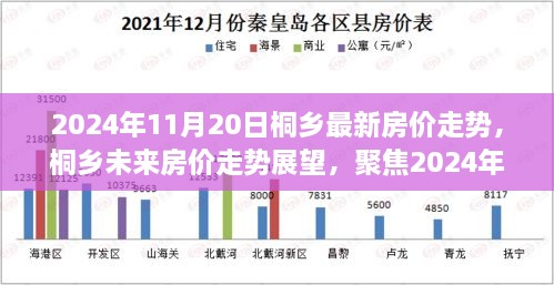 2024年11月20日桐乡最新房价走势，桐乡未来房价走势展望，聚焦2024年11月20日的分析视角