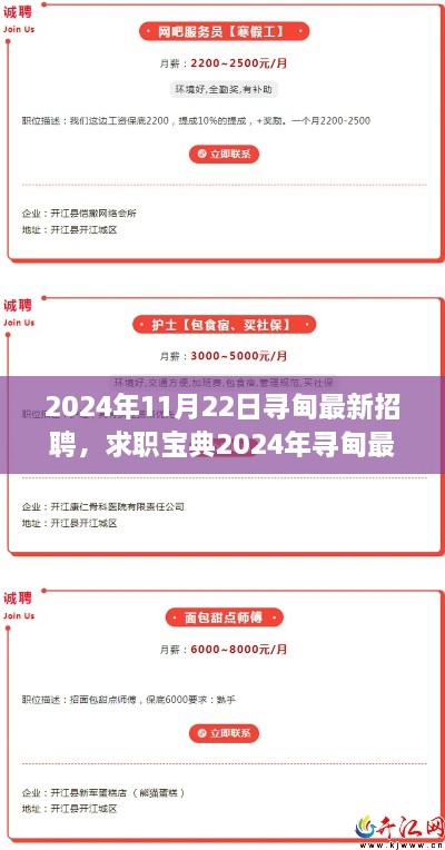 2024年寻甸最新招聘指南，求职宝典与攻略，从零起步迈向成功职业之路