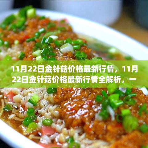 11月22日金针菇价格最新行情，11月22日金针菇价格最新行情全解析，一步步教你掌握市场动态