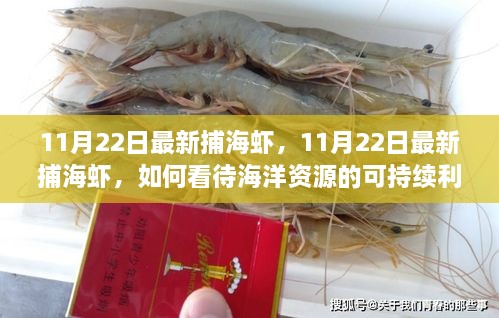 11月22日最新捕海虾，11月22日最新捕海虾，如何看待海洋资源的可持续利用与捕捞策略