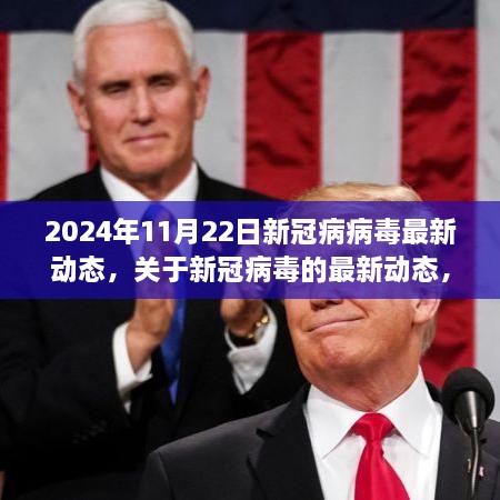 2024年11月22日新冠病毒最新动态概览，聚焦更新信息