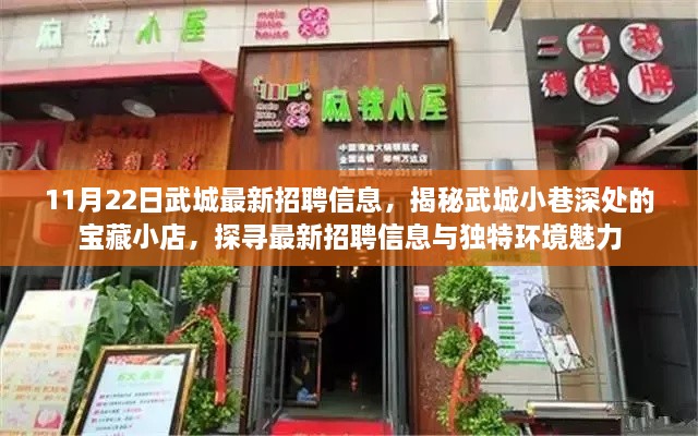 武城最新招聘揭秘与小巷宝藏小店探寻记