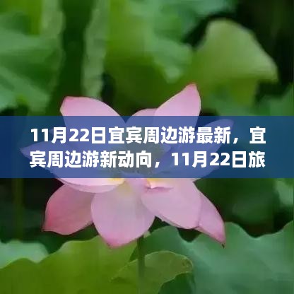 11月22日宜宾周边游最新动态与热点解析，新动向与观点碰撞