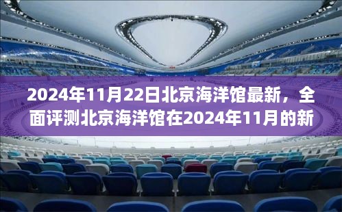 北京海洋馆全新面貌揭秘，深度评测与体验指南（2024年11月）