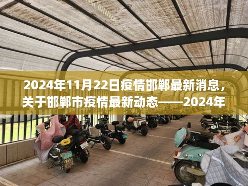 邯郸市疫情最新动态观察报告，2024年11月22日最新消息