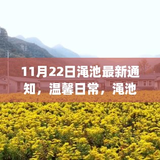 渑池小镇秋日惊喜与友情传递，最新通知与温馨日常（11月22日）