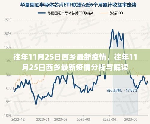 往年11月25日西乡疫情最新动态及分析解读