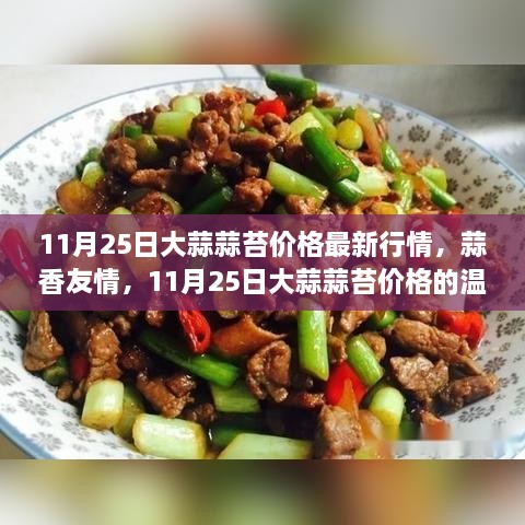 新闻中心 第195页