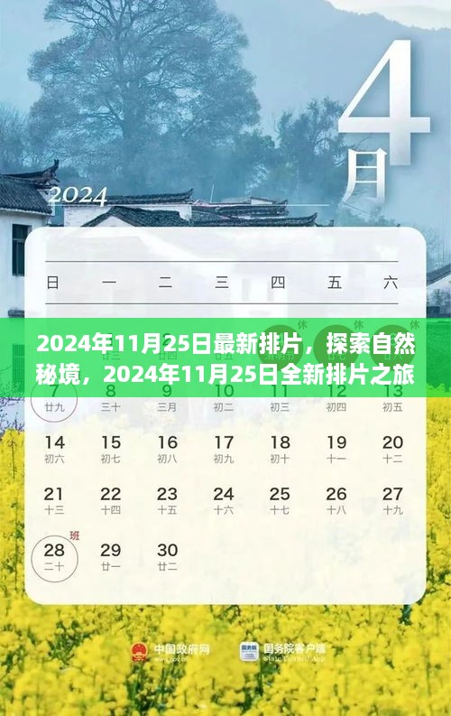 启程探索自然秘境，全新排片之旅，寻找内心的宁静与欢笑（2024年11月25日最新）