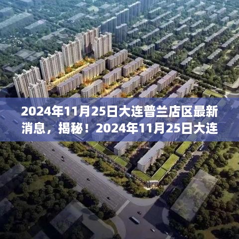 揭秘大连普兰店区最新动态，2024年11月25日最新消息全解析