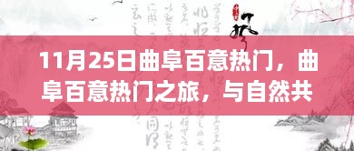 曲阜百意之旅，与自然共舞，探寻心灵的宁静港湾（11月25日热门活动）