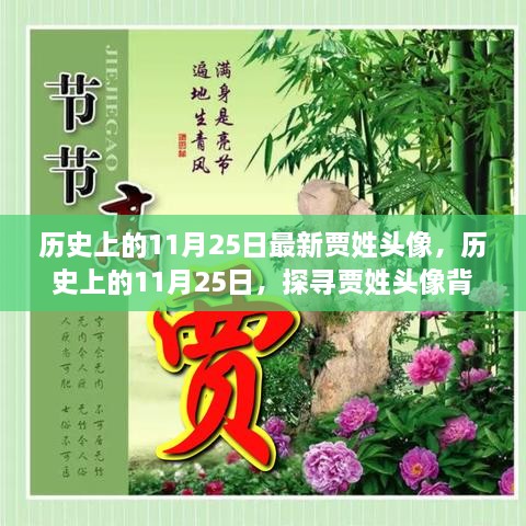 历史上的贾姓头像背后的故事，探寻背后的历史解读与最新动态（贾姓头像最新解读）