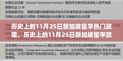 历史上的11月25日新加坡留学政策之旅，探索自然与艺术的心灵平静之旅