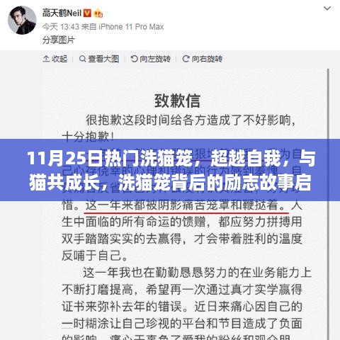 超越自我与猫共成长，洗猫笼背后的励志启示录