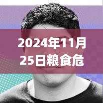 全球粮食危机最新动态，挑战与应对策略（聚焦2024年11月25日）