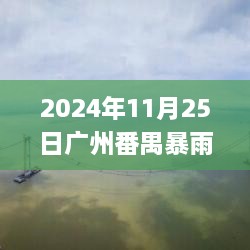 广州番禺暴雨应对指南，安全度过暴雨天气的初学者教程（2024年11月25日最新）