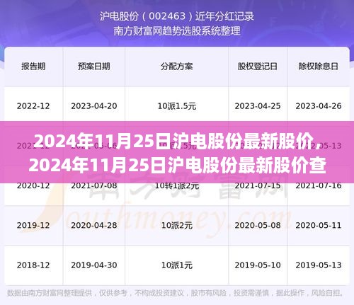 2024年11月25日沪电股份最新股价查询全攻略，零基础操作指南